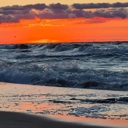 Amazing In With Wifi * ساربينوفو