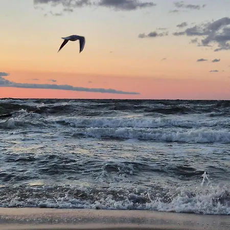 Amazing In With Wifi