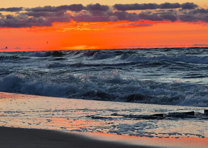 Amazing In With Wifi * Sarbinowo