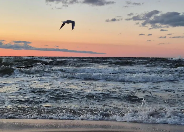 Amazing In With Wifi